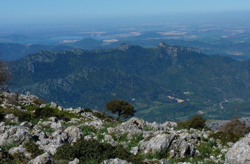 Apartamentos Rurales Sierra Alta Benaocaz Buitenkant foto