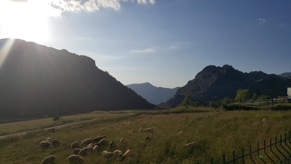 Apartamentos Rurales Sierra Alta Benaocaz Buitenkant foto